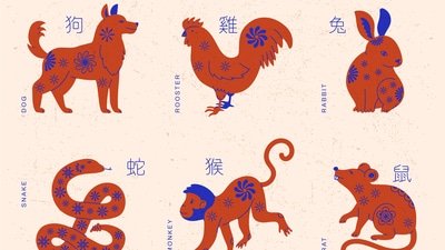 Chinese Zodiac Horoscope Today for April 25, 2025
