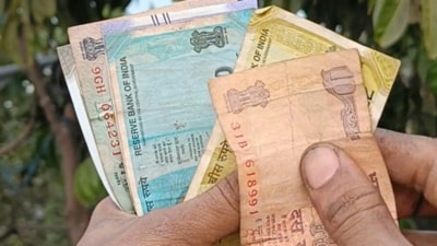 Many took to the comments section to express their amazement at her earning ₹1.7 lakh per month at just 23. (Pexel) Many took to the comments section to express their amazement at her earning ₹1.7 lakh per month at just 23. (Pexel)