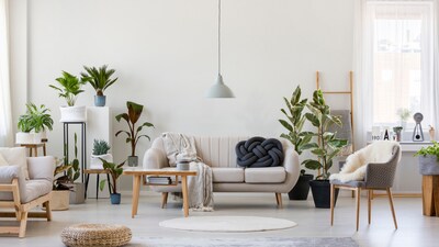 Bypass the rules by embracing these decor tips. (Shutterstock) Bypass the rules by embracing these decor tips. (Shutterstock)