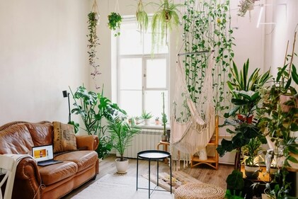 Go with the botanical home décor trend that is soothing as well as aesthetically-pleasing (Pexels) Go with the botanical home décor trend that is soothing as well as aesthetically-pleasing (Pexels)