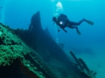 Through his dives, he has discovered around 20 to 25 shipwrecks over the past few years. Through his dives, he has discovered around 20 to 25 shipwrecks over the past few years.