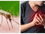 Malaria affects heart health.