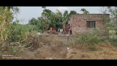 Meanwhile, Laxmibai’s son woke up due to the dog’s barking and came out of the house only to see his mother being dragged by the leopard into the sugarcane fields. (HT) Meanwhile, Laxmibai’s son woke up due to the dog’s barking and came out of the house only to see his mother being dragged by the leopard into the sugarcane fields. (HT)