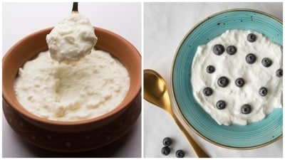 Is Greek yoghurt (right) better than dahi for your health? Here's what a dietician said. (Freepik) Is Greek yoghurt (right) better than dahi for your health? Here's what a dietician said. (Freepik)