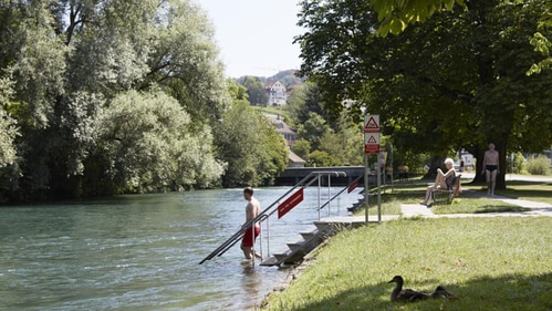 Tucked in the Höngg district, this location features a sunny lido area and a swimming-friendly canal, beside which visitors can relax and enjoy their picnic at leisure. Tucked in the Höngg district, this location features a sunny lido area and a swimming-friendly canal, beside which visitors can relax and enjoy their picnic at leisure.