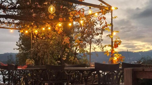 Enjoy a leisurely lunch or a special dinner of seasonal dishes on the lakeside terrace, against the calm backdrop of the lake. Enjoy a leisurely lunch or a special dinner of seasonal dishes on the lakeside terrace, against the calm backdrop of the lake.