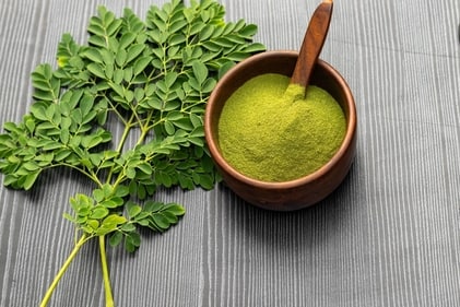 Moringa balances gut bacteria. (Shutterstock) Moringa balances gut bacteria. (Shutterstock)