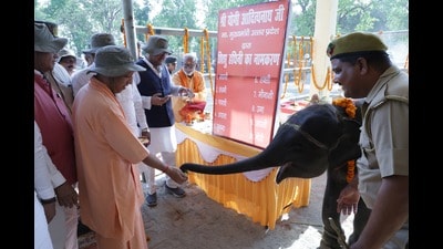 Chief minister Yogi Adityanath with the elephant calf he named Bhavani, at Salukapur Elephant Camp in Dudhwa on Saturday (Sourced)