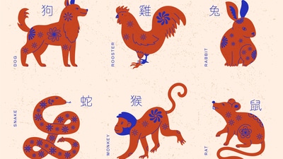 Chinese Zodiac Horoscope Today for April 28, 2025