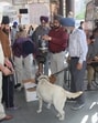 Policemen check the luggage of passengers at Bus stand in Amritsar. (HT File)