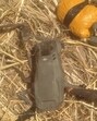 The drone and heroin seized by BSF. The drone and heroin seized by BSF.