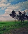 Villages, such as Parsoli in Mathura, the birthplace of poet Surdas, are also being developed for tourism, further expanding the scope of this rural tourism initiative. (Sourced) Villages, such as Parsoli in Mathura, the birthplace of poet Surdas, are also being developed for tourism, further expanding the scope of this rural tourism initiative. (Sourced)
