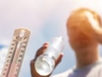 Dr Shriram Nene shared a survival guide on how to stay safe and cool during heatwaves. 