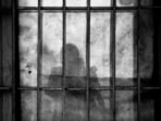 The results of these prisoners have thus opened a fresh window of hope for other prisoners, Jail Superintendent Brijendra Yadav said.