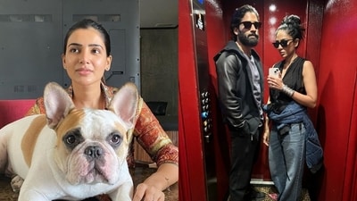 Samantha Ruth Prabhu and Naga Chaitanya share their dog Hash, he is now married to Sobhita Dhulipala. Samantha Ruth Prabhu and Naga Chaitanya share their dog Hash, he is now married to Sobhita Dhulipala.