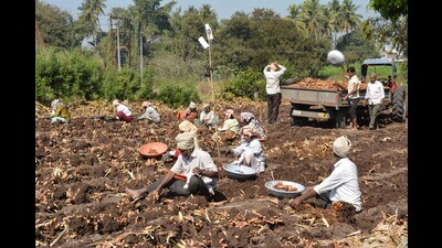 The entire research and development work was carried out by Gaikwad under the guidance of Prof Kale. (REPRESENTATIVE PIC) The entire research and development work was carried out by Gaikwad under the guidance of Prof Kale. (REPRESENTATIVE PIC)