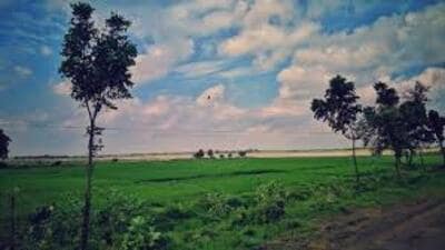Villages, such as Parsoli in Mathura, the birthplace of poet Surdas, are also being developed for tourism, further expanding the scope of this rural tourism initiative. (Sourced)