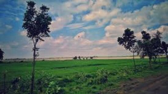 Villages, such as Parsoli in Mathura, the birthplace of poet Surdas, are also being developed for tourism, further expanding the scope of this rural tourism initiative. (Sourced)
