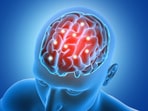 Keep your brain active and healthy with the help of diet. Keep your brain active and healthy with the help of diet.