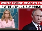 White House Reacts To Putin Ceasefire Announcement White House Reacts To Putin Ceasefire Announcement