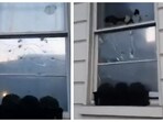 Officers were called early Sunday morning after reports that a man was smashing windows at the diplomatic mission. Officers were called early Sunday morning after reports that a man was smashing windows at the diplomatic mission.