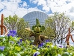 A fire has broken out at EPCOT, a theme park within the Walt Disney World Resort in Bay Lake, Florida.
