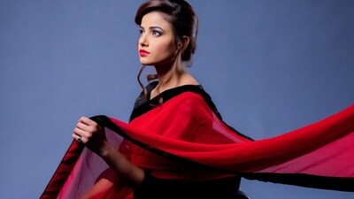 Chiffon sarees are lightweight, easy to carry and ideal for beginners (Pexels) Chiffon sarees are lightweight, easy to carry and ideal for beginners (Pexels)