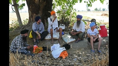 Farmers sitting in shade in Rajatal village near the India-Pakistan border in Amritsar district. (AFP) Farmers sitting in shade in Rajatal village near the India-Pakistan border in Amritsar district. (AFP)