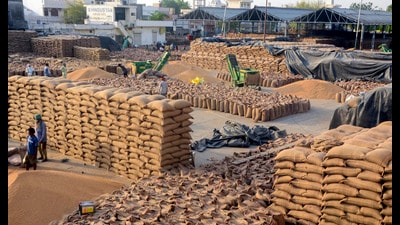 Labourers work at a grain market during wheat crop procurement season, in Patiala. (PTI File)