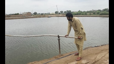 The shrimp growers said that Punjab was charging “hefty” commercial rates for electricity. The shrimp growers said that Punjab was charging “hefty” commercial rates for electricity.