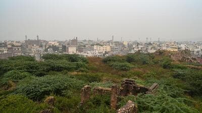 The southern ridge in Delhi. (HT Archive) The southern ridge in Delhi. (HT Archive)