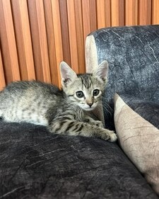 Luna. Luna.