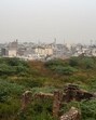The southern ridge in Delhi. (HT Archive)