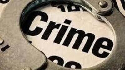 Police have registered an FIR under Sections 333, 190, 191(3), 324(4), 351(3), and 61(2) of the BNS. (HT Photo for presentation)