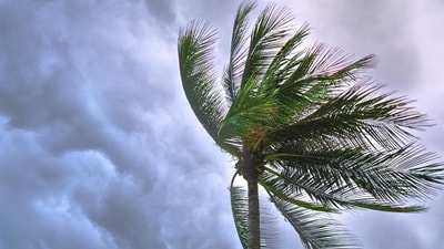 (Representational Image) Southern Ontario braces for summer-like temperatures and severe thunderstorms as a Colorado low moves in, with risks of hail, strong winds, and isolated tornadoes. (Pexel) (Representational Image) Southern Ontario braces for summer-like temperatures and severe thunderstorms as a Colorado low moves in, with risks of hail, strong winds, and isolated tornadoes. (Pexel)