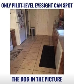 A tricky optical illusion showed a hidden dog in a kitchen scene, challenging viewers with “pilot-level eyesight” to spot it. (Facebook/Optical Illusions 2) A tricky optical illusion showed a hidden dog in a kitchen scene, challenging viewers with “pilot-level eyesight” to spot it. (Facebook/Optical Illusions 2)