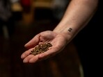 Losses from heat and drought have cut production forecasts in Brazil and Vietnam, the world's largest coffee growers. 