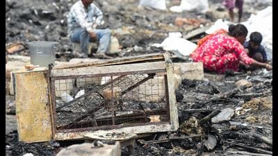 A woman looking for her belongings in the debris after a fire destroyed her hut in the slums of Sector 102 near the Dwarka Expressway on Wednesday. (PARVEEN KUMAR/HT PHOTO) A woman looking for her belongings in the debris after a fire destroyed her hut in the slums of Sector 102 near the Dwarka Expressway on Wednesday. (PARVEEN KUMAR/HT PHOTO)
