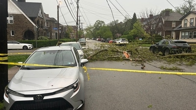 Photos show damage after severe storms wreak havoc in Pittsburgh (@Gatesy35/ X) Photos show damage after severe storms wreak havoc in Pittsburgh (@Gatesy35/ X)