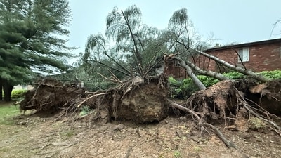 Photos show damage after severe storms wreak havoc in Pittsburgh (@AmyCPhotos/ X) Photos show damage after severe storms wreak havoc in Pittsburgh (@AmyCPhotos/ X)