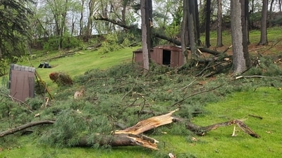 Photos show damage after severe storms wreak havoc in Pittsburgh (@RobTheBiker53/ X) Photos show damage after severe storms wreak havoc in Pittsburgh (@RobTheBiker53/ X)