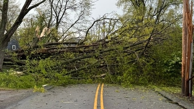A Pittsburgh resident shared photos of the storm damage, writing, ‘It was wild’ (@SharkySalty/ X) A Pittsburgh resident shared photos of the storm damage, writing, ‘It was wild’ (@SharkySalty/ X)