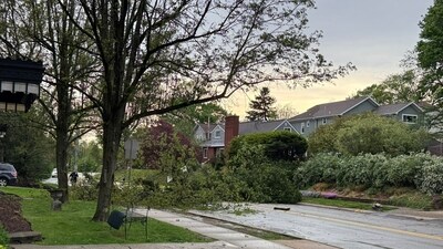 Pittsburgh storms: Tree uprooted across Beverly Road in Mt. Lebanon and a telephone pole snapped in half. (X@DaveDiCello) Pittsburgh storms: Tree uprooted across Beverly Road in Mt. Lebanon and a telephone pole snapped in half. (X@DaveDiCello)
