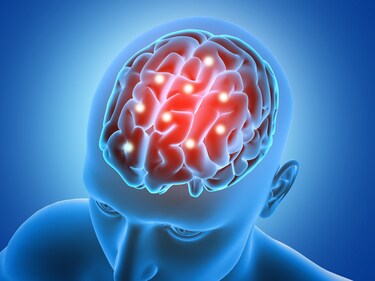 Damage to certain areas of the brain is responsible for the difference in political engagement. (Freepik) Damage to certain areas of the brain is responsible for the difference in political engagement. (Freepik)