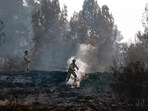 Israeli firefighters help to extinguish a forest fire near Latrun Monastery in central Israel, on May 1, 2025. Israeli firefighting teams battled wildfires near Jerusalem for a second day on May 1, with police reporting the reopening of several major roads that had been closed. 