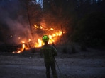 An Israeli firefighter works as forest fire is burning near Jerusalem, Wednesday, April 30, 2025. 