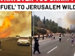Jerusalem wildfires: One arrested on suspicion of arson; Hamas' shocking remark Jerusalem wildfires: One arrested on suspicion of arson; Hamas' shocking remark