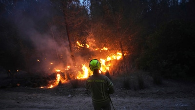 An Israeli firefighter works as forest fire is burning near Jerusalem, Wednesday, April 30, 2025. (AP) An Israeli firefighter works as forest fire is burning near Jerusalem, Wednesday, April 30, 2025. (AP)