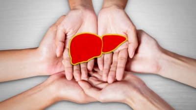 To improve liver health and potentially reverse damage, here's what you need to know. (Freepik) To improve liver health and potentially reverse damage, here's what you need to know. (Freepik)