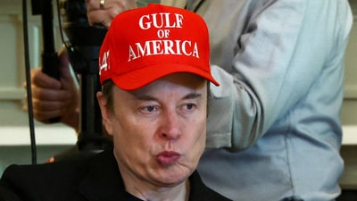 Tesla CEO Elon Musk attends a cabinet meeting held by U.S. President Donald Trump at the White House in Washington, D.C. (REUTERS file)